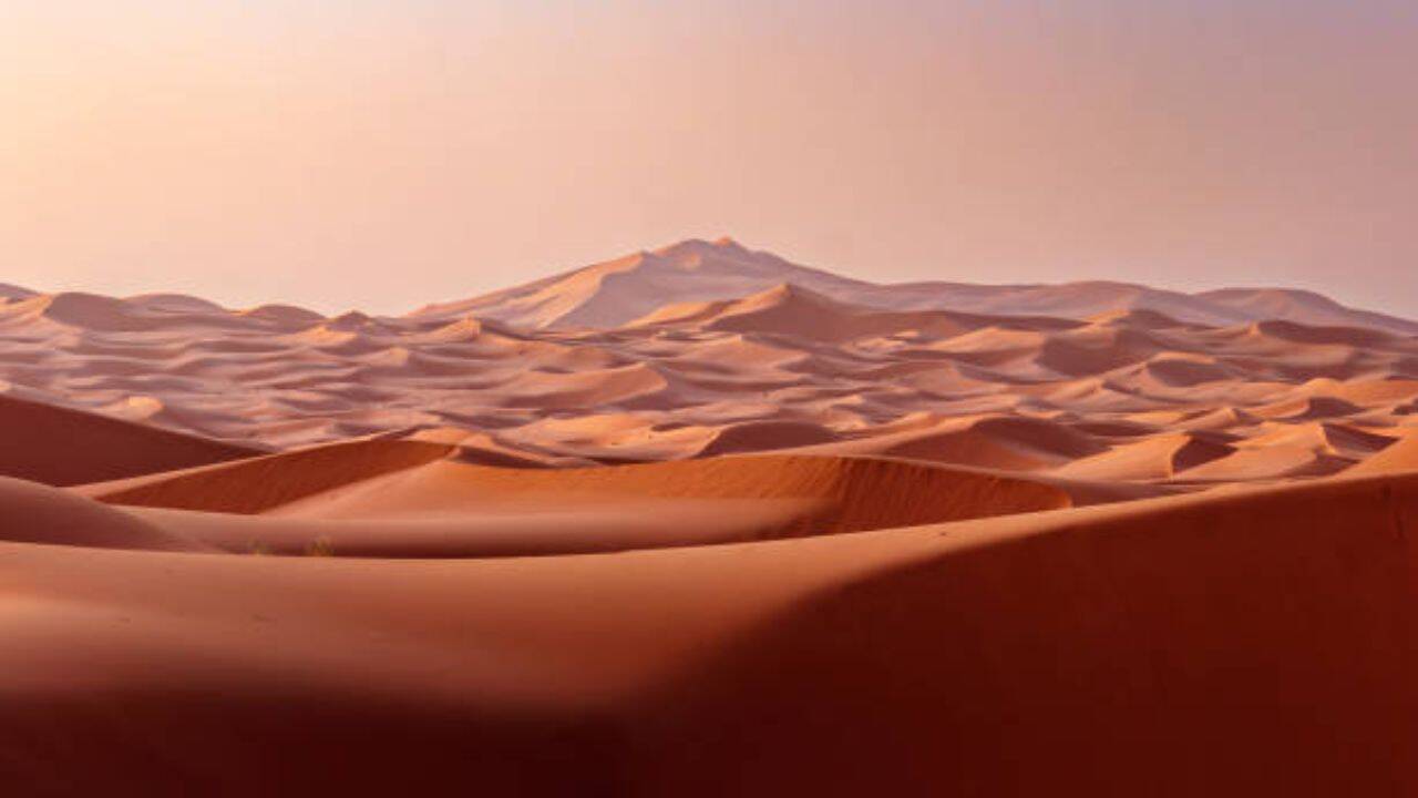 UAE Creates Eco-Friendly Bricks From Desert Sand