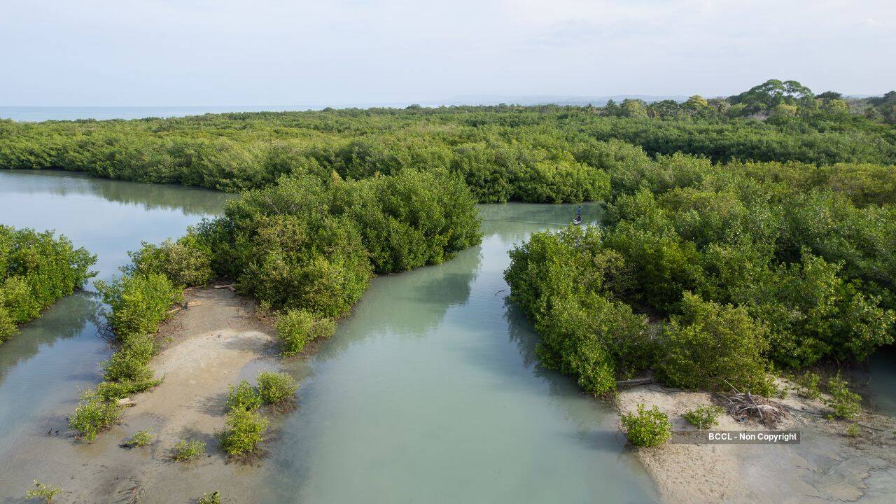 China Restores Wetlands With $13.8bn Investment
