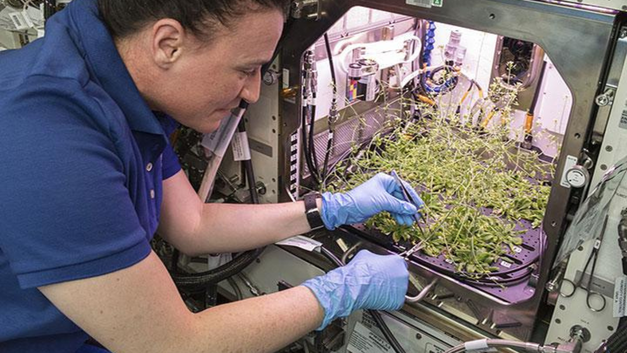 NASA Research Helps Astronauts Grow Medicine