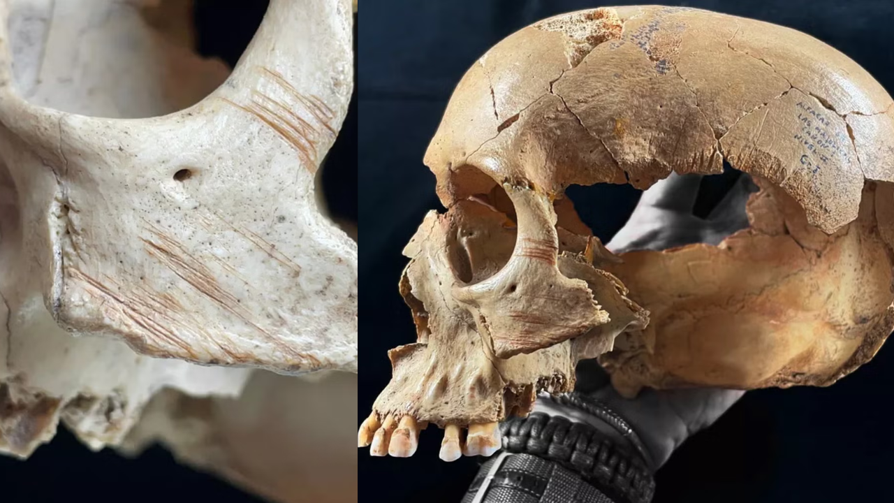Spanish Caves Uncover Repeated Cannibalism Evidence