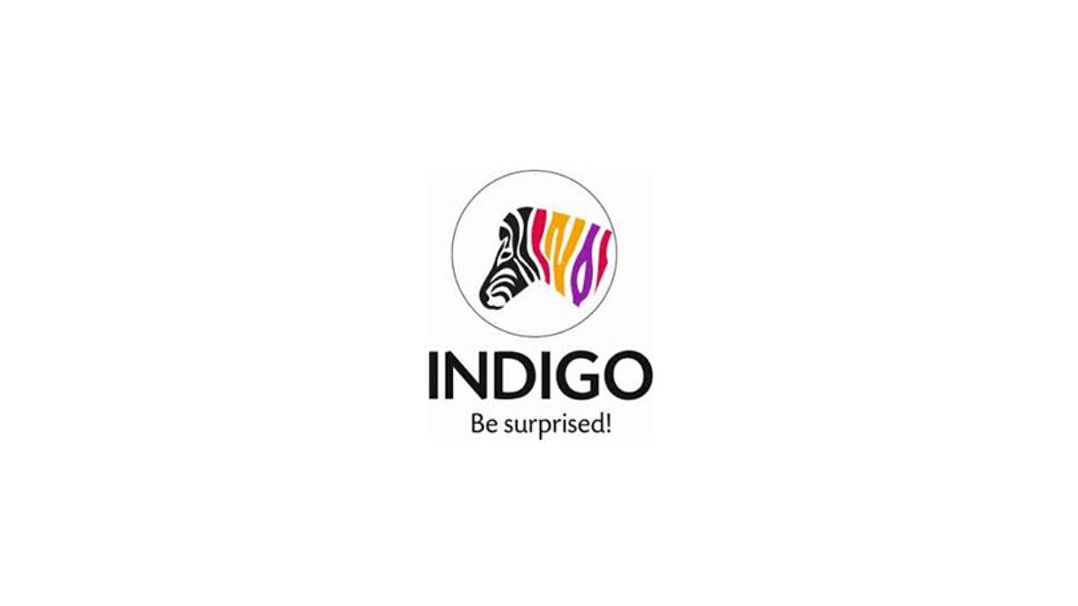 Indigo Paints Q1 Profit Rises 60% To ₹41.7 Crore