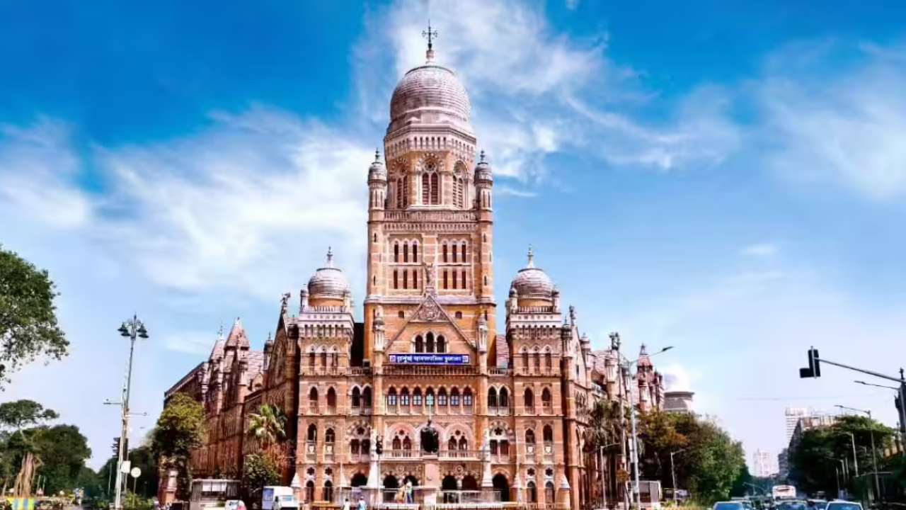 BMC Hawker Crackdown Questioned