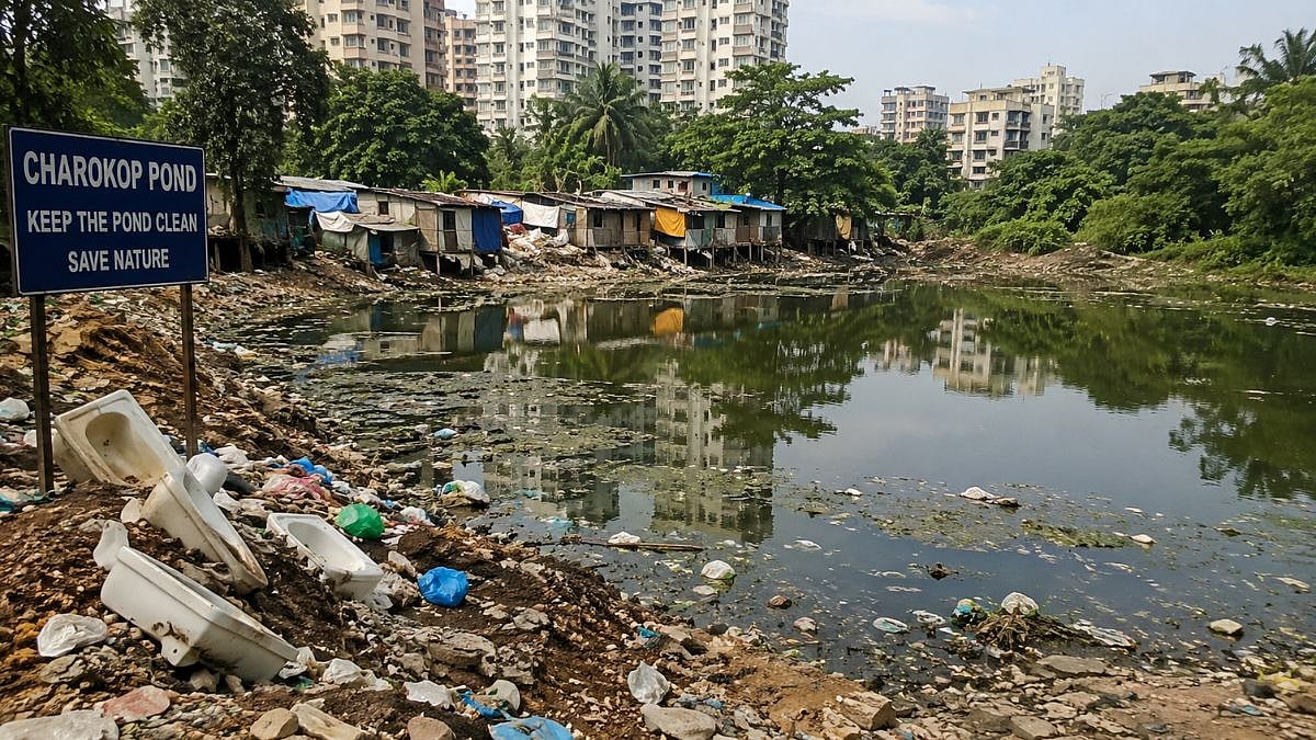 Bombay HC Orders Removal Of Kandivali Pond Encroachments