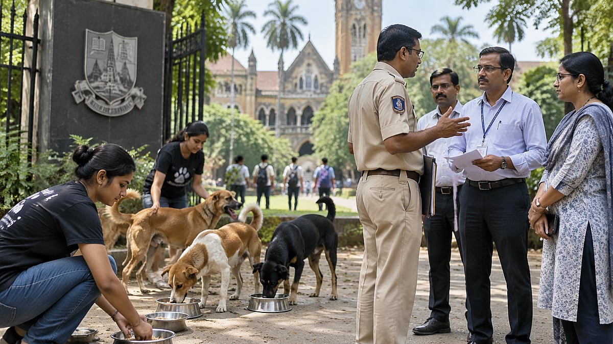 BMC Directs Mumbai University To Feed Community Dogs On Campus