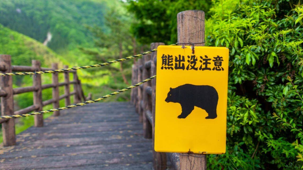 Japan Trail Reopens, Then Closes Again Due To Bear Attack