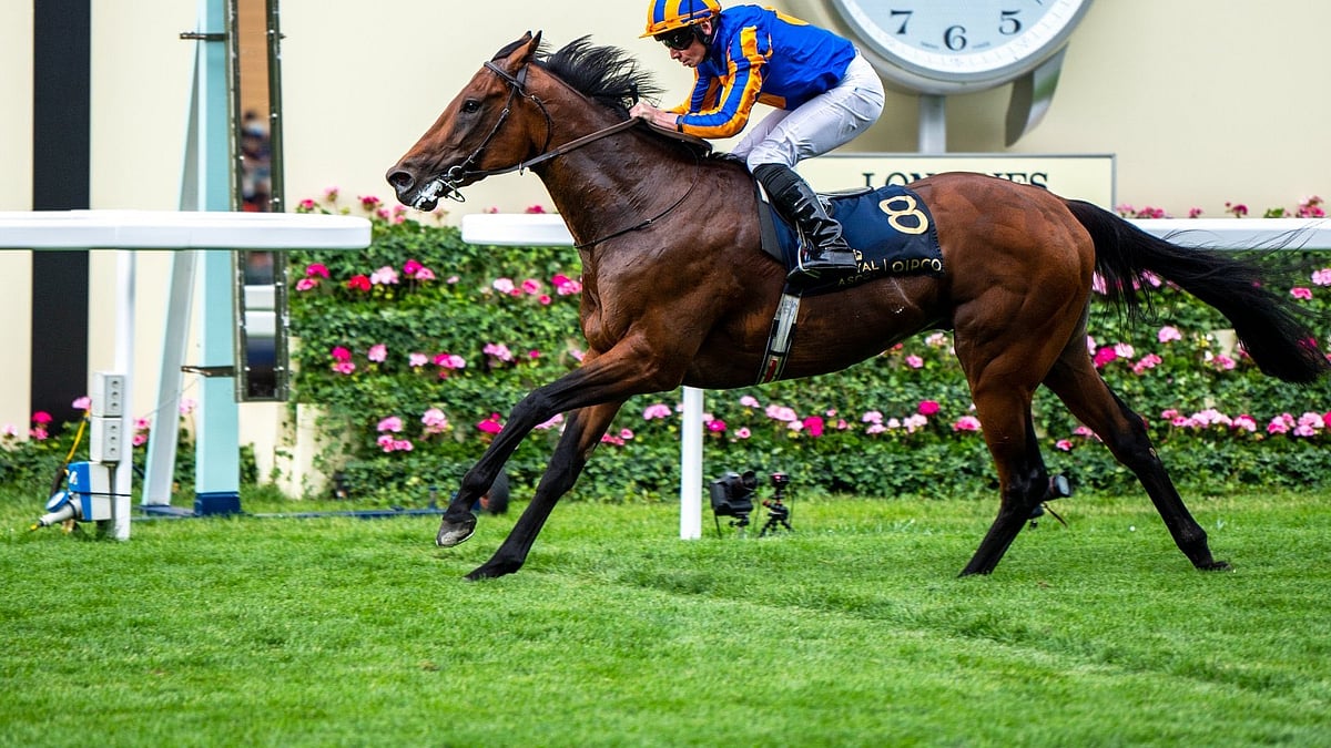 Jaandaar Favored To Win SA Poonawalla Million