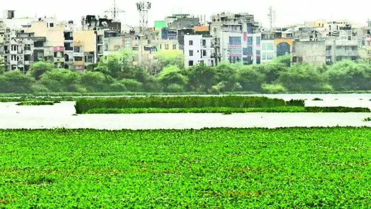 Delhi Master Plan 2047 Proposes High-Density Corridor