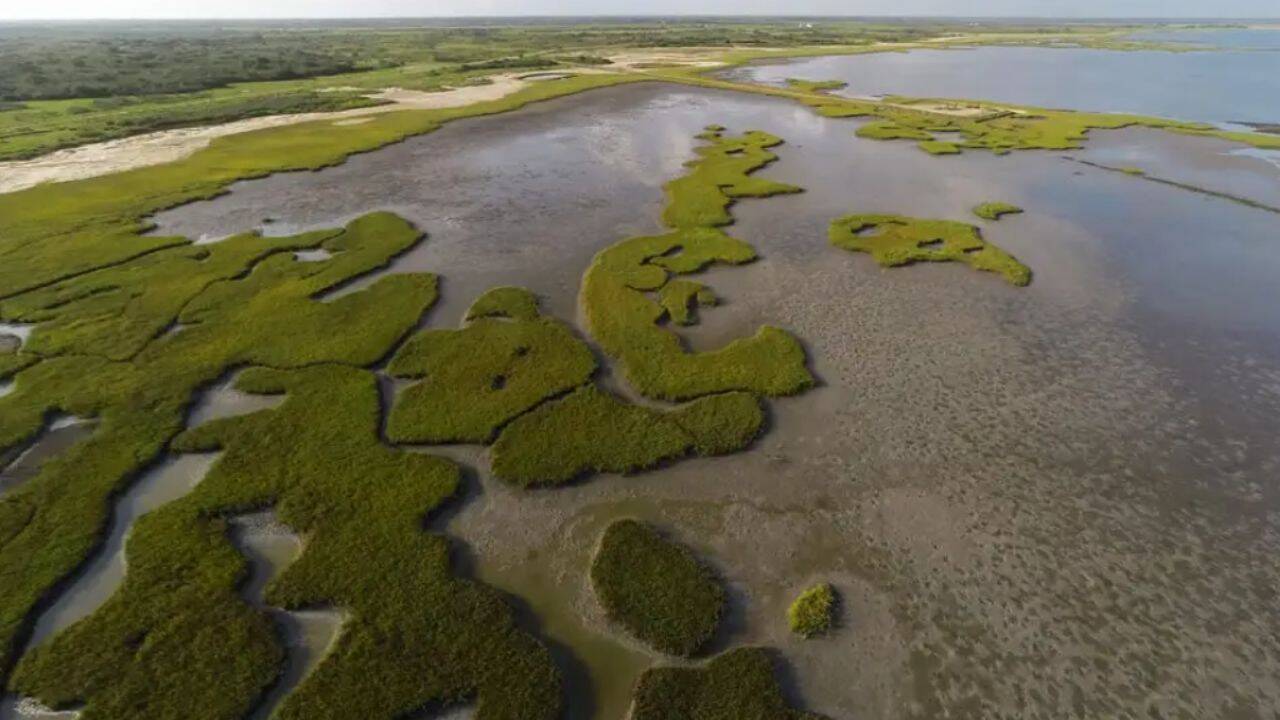Texas Ranch Sold for $37.7m to Create Wildlife Area