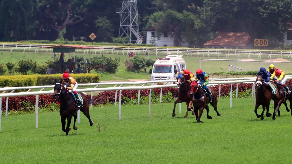 Encino Wins Atomic Prince Plate