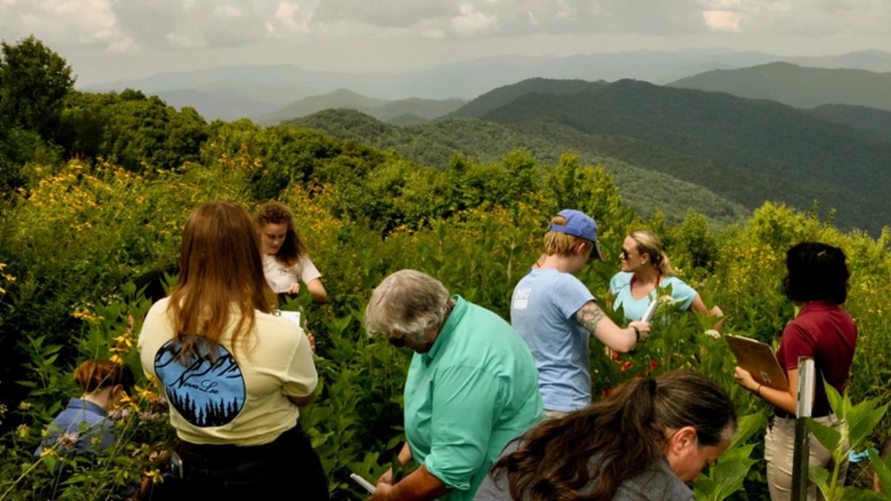 US Couple Donates 535 Acres to Smoky Mountains