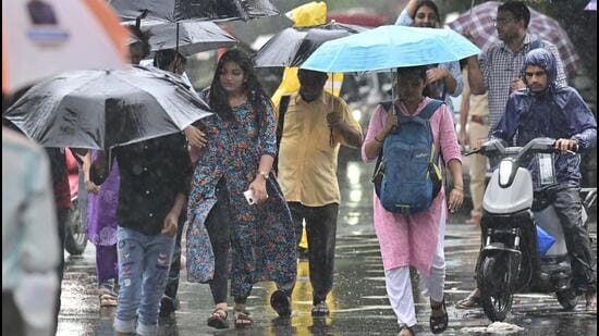 Mumbai Rain: Tansa Lake Overflows at 62% Stock