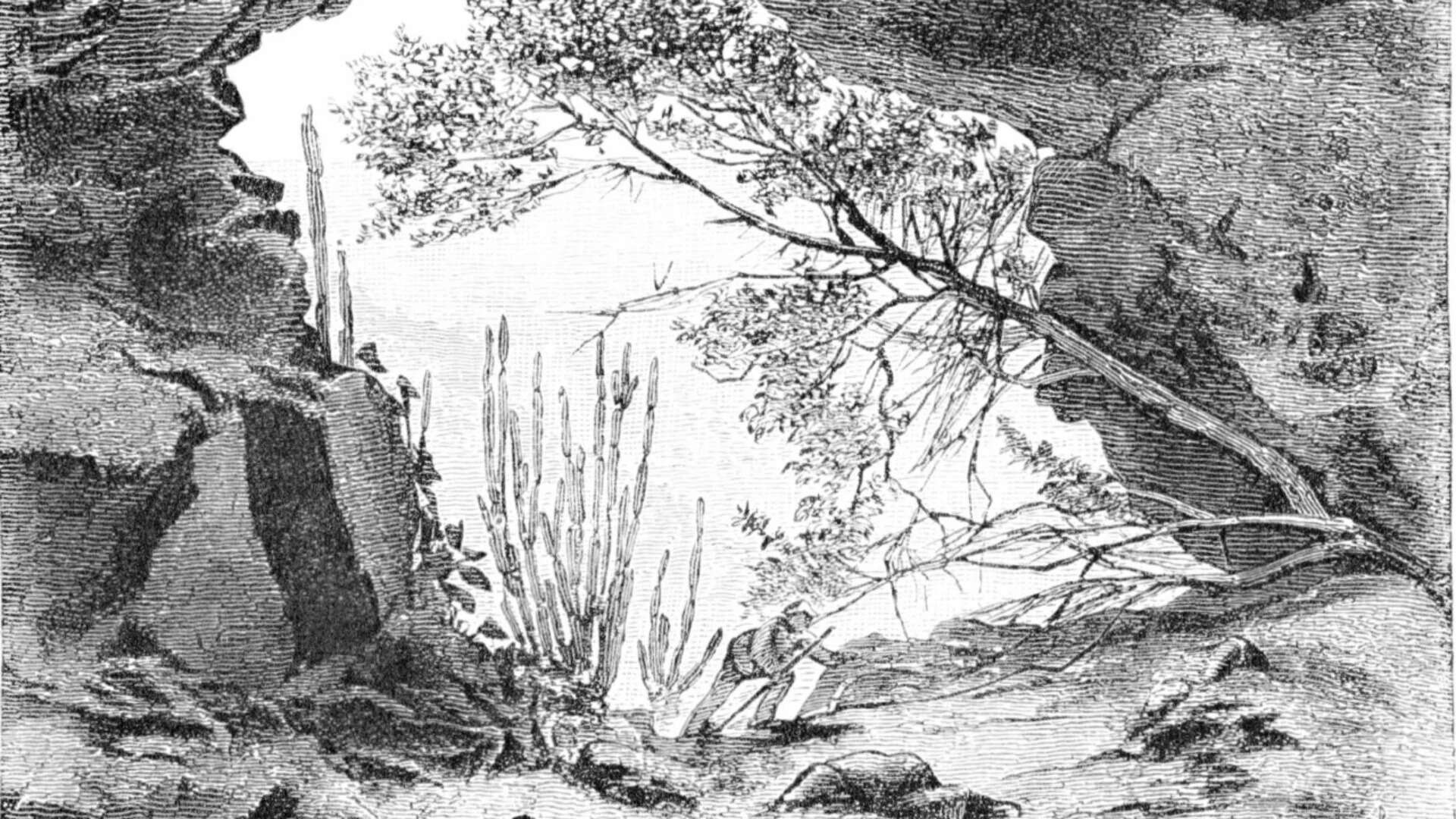Cloggs Cave Reveals 25,000-Year-Old Rituals