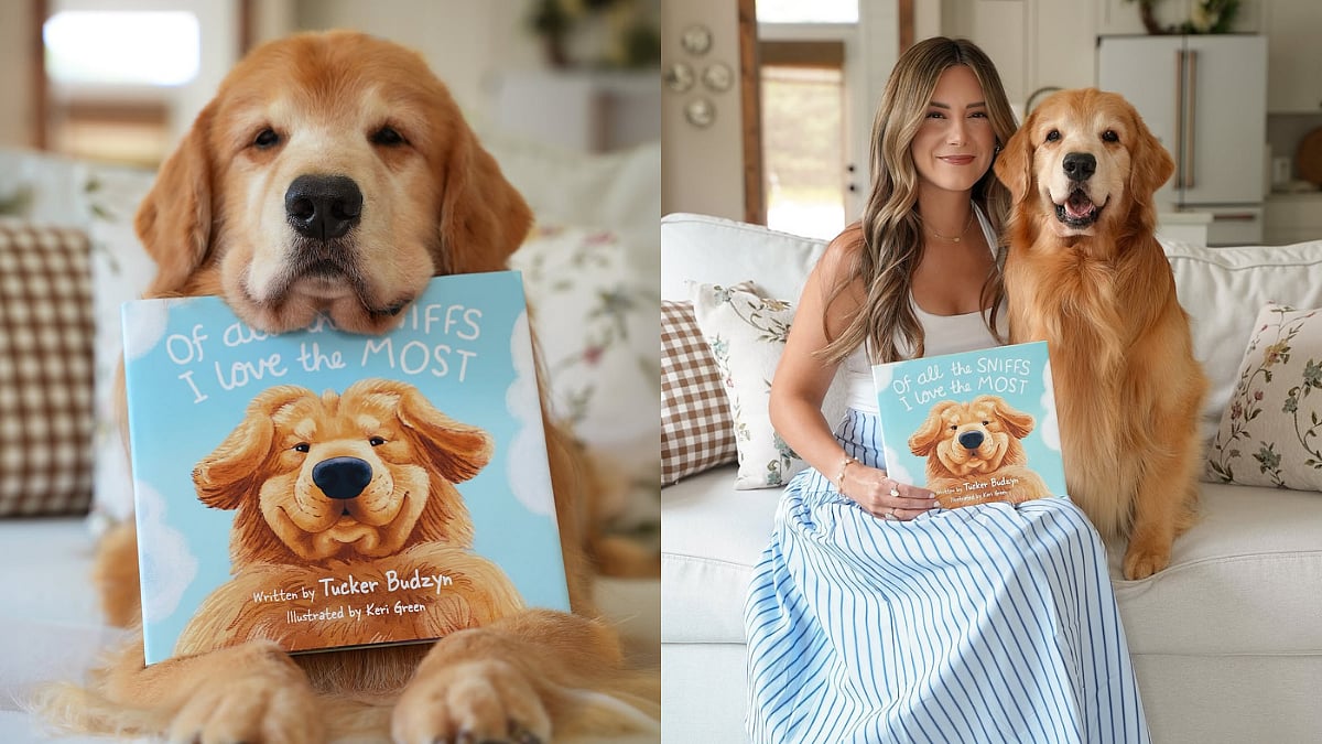 Tucker Budzyn, Internet's Favourite Dog, Dies at 8