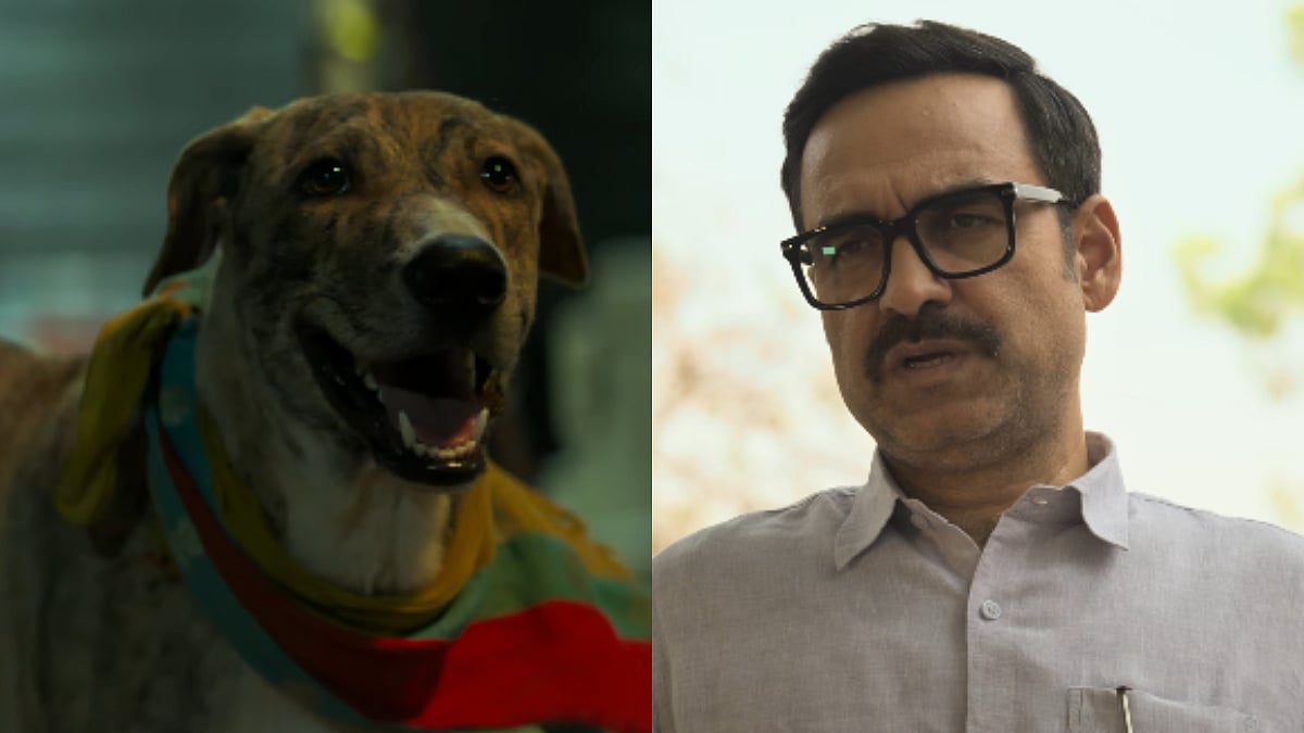 Ohh My Dog Earns ₹20 Lakh On Day 6