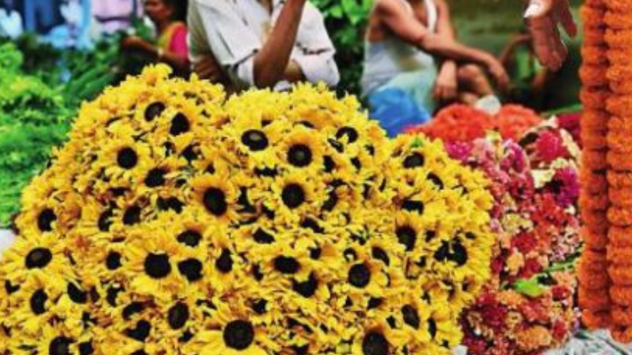 eBay, Etsy Battle Scammers Selling Fake Flower Seeds