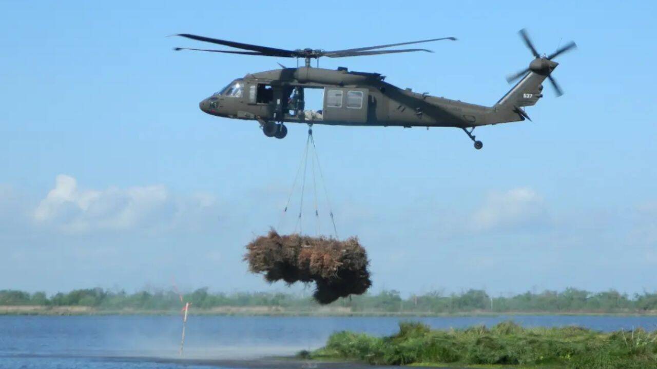 New Orleans Restores Marsh with 9,000 Christmas Trees