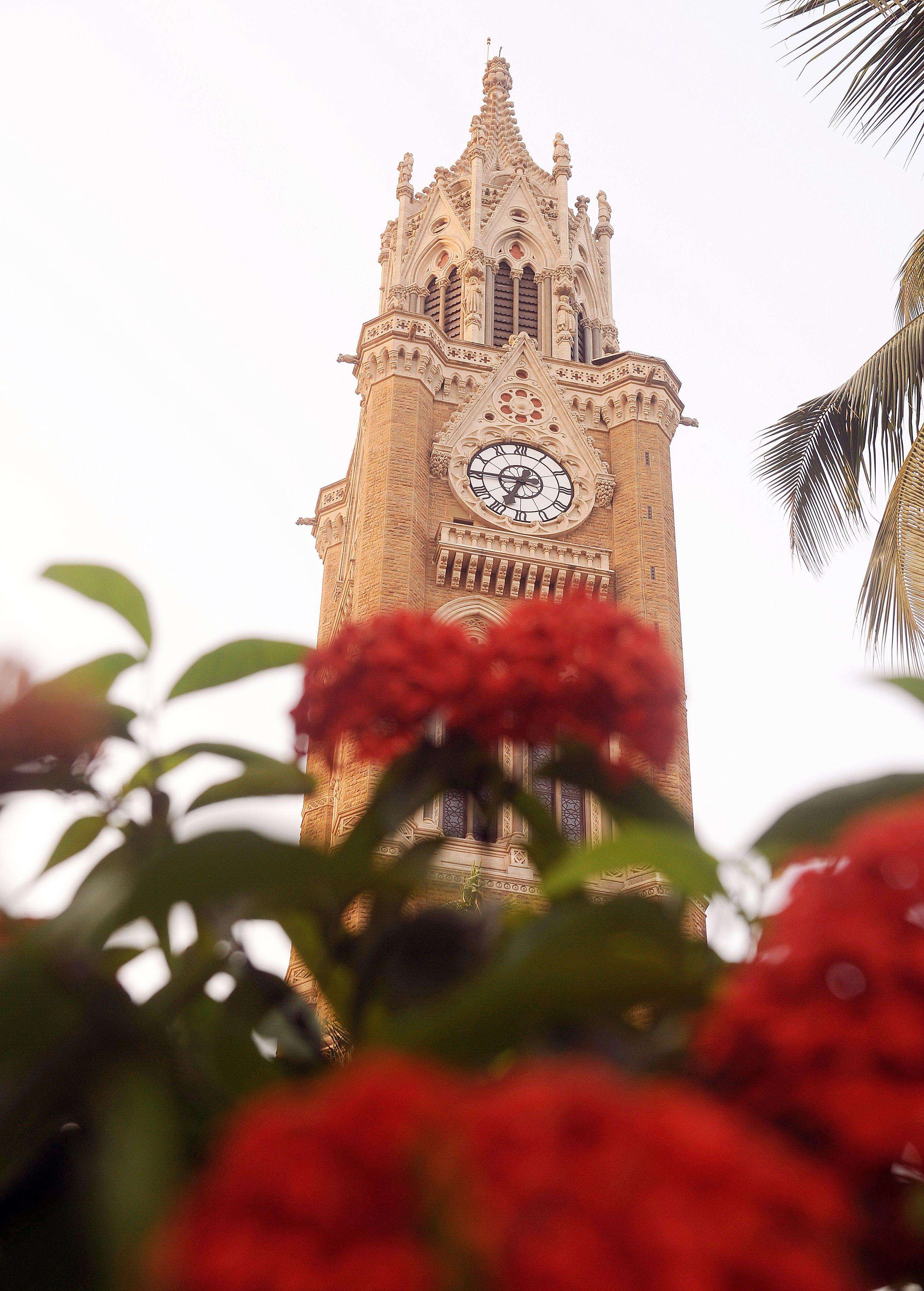 Mumbai University's NEP Under Review
