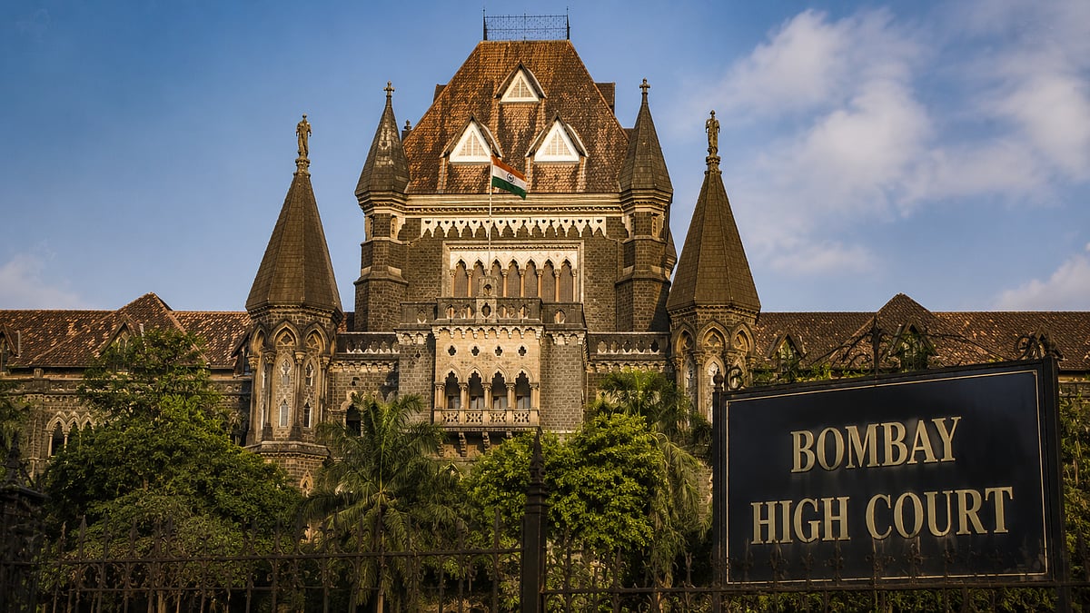Bombay HC Orders Maharashtra To Implement ABC Programme
