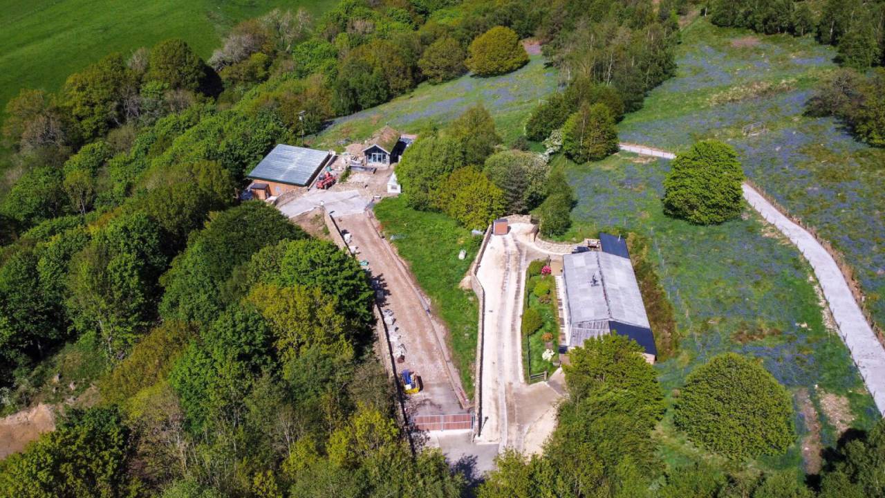 Turkish Firm Ordered to Demolish Homes in 500-Year-Old Woodland