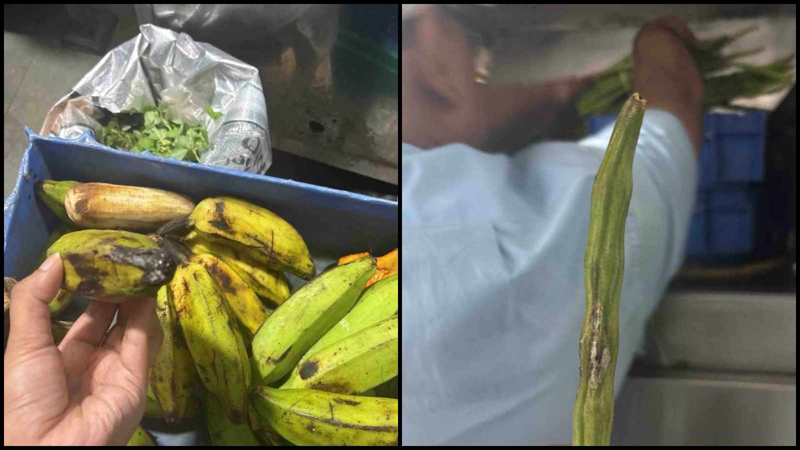 Mumbai's Poornima Restaurant License Suspended