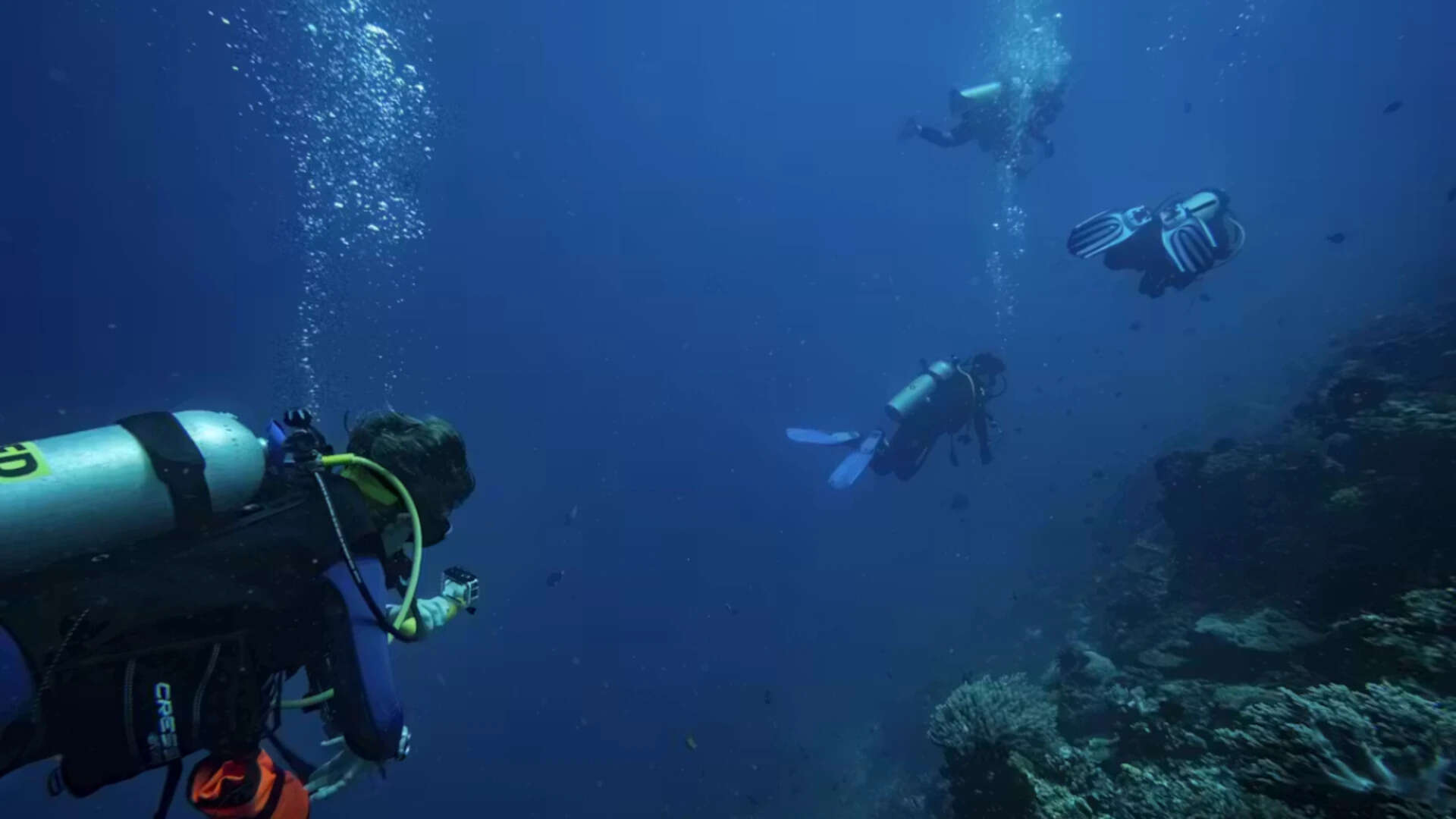 Scuba Divers Cause Reef Damage