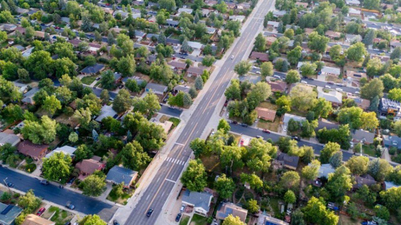 Chicago Study: Tree Loss Linked to Higher Mortality