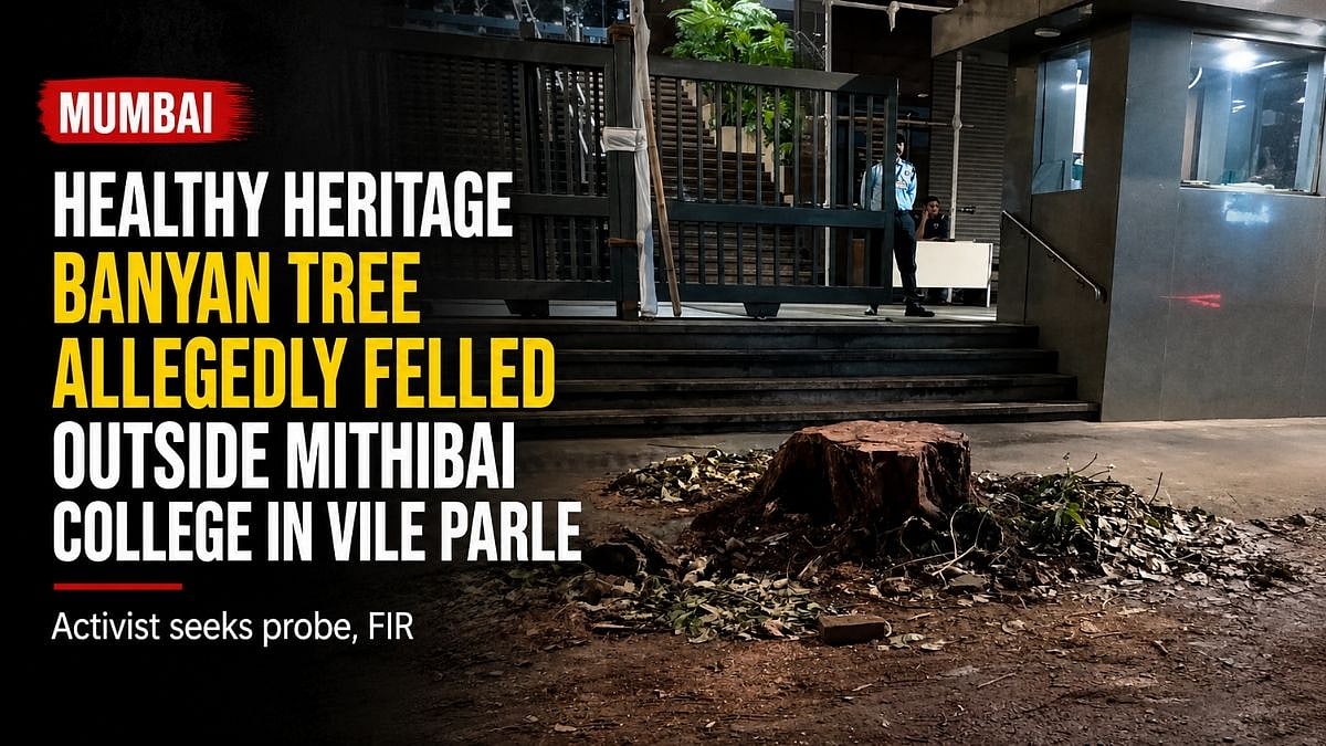 Vile Parle Heritage Banyan Tree Felled