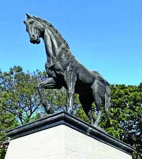 BMC Unveils Rs 9.23cr Tender for Kala Ghoda Revamp