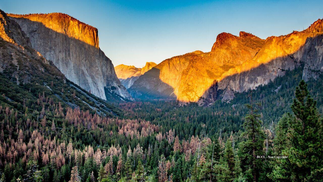 Yosemite Wetlands Restored After 100 Years