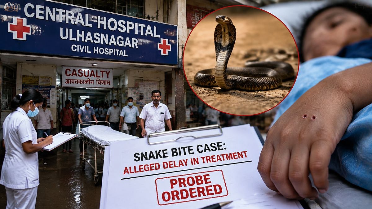 SHRC Seeks Report on 3-Year-Old's Death After Snake Bite