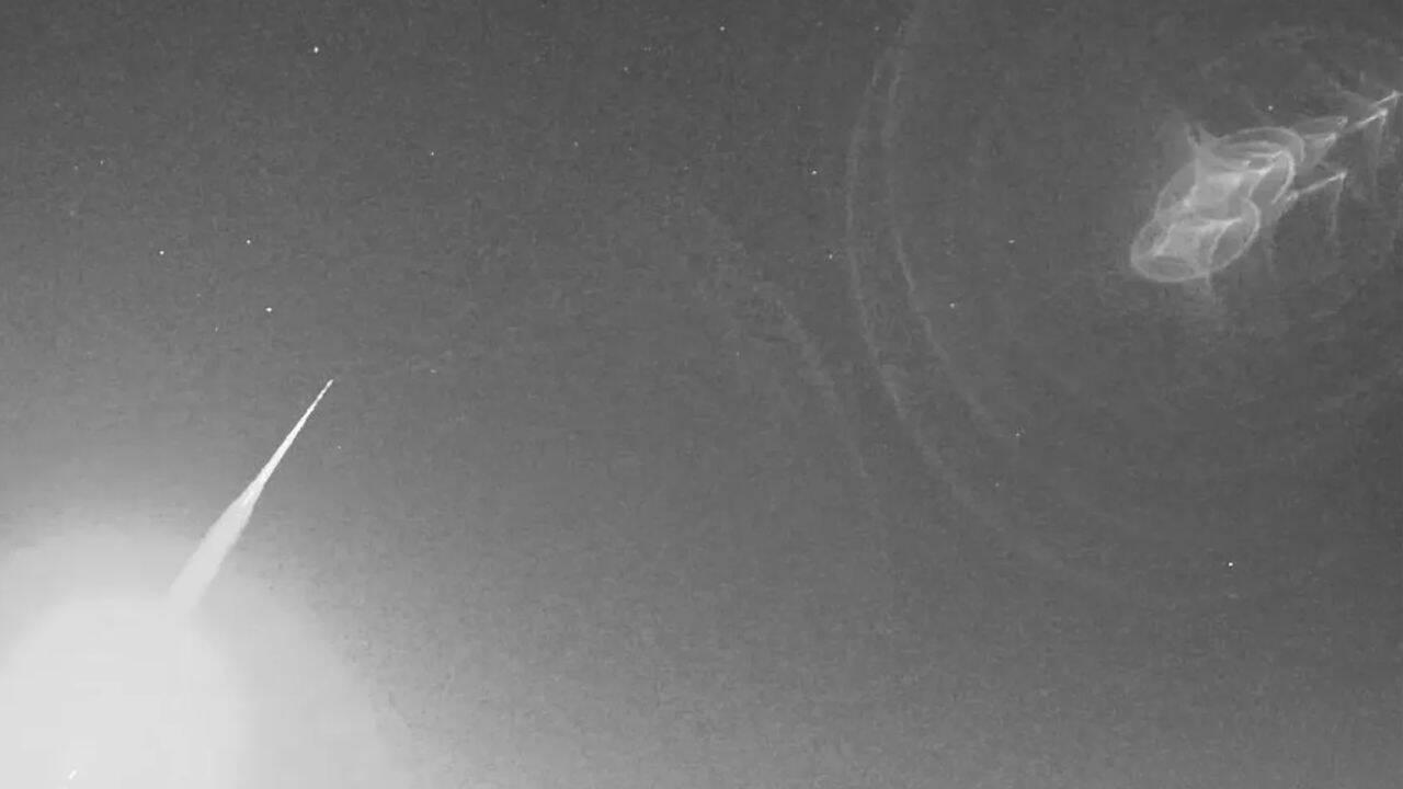 Meteor Streaks Over New Zealand Sky