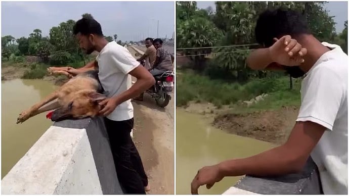 Man Throws Dead Pet Into River, Sparks Debate