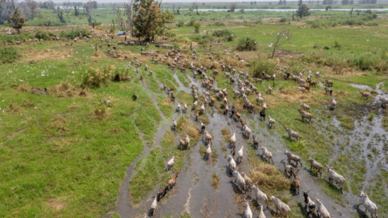South Sudan Parks Become UNESCO Site