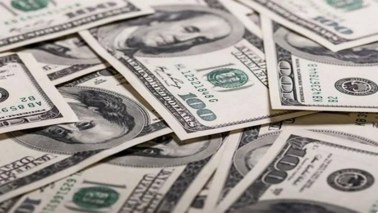 India's Forex Reserves Reach $729.33bn