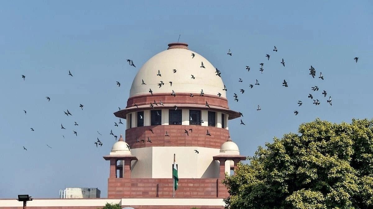 SC Orders SIT Probe Into Congress Candidate's Driver Death
