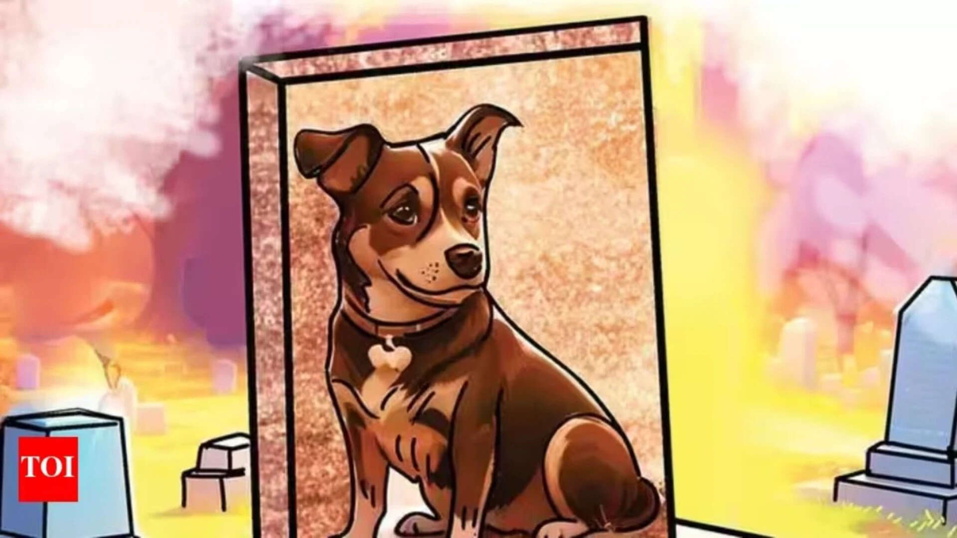 India Faces Pet Crematorium Crisis