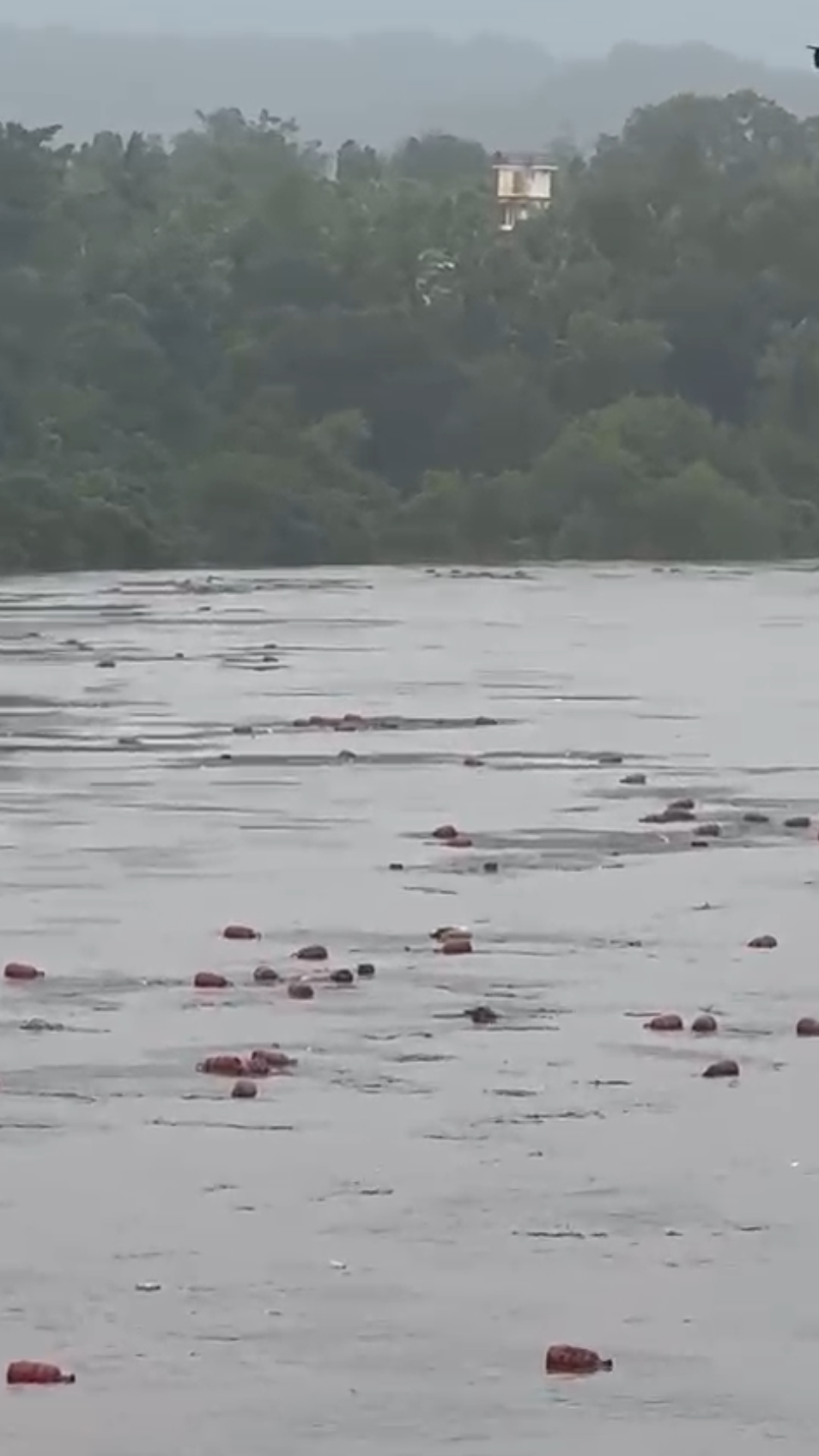 LPG Cylinders Swept Away to Sea via Patalganga River