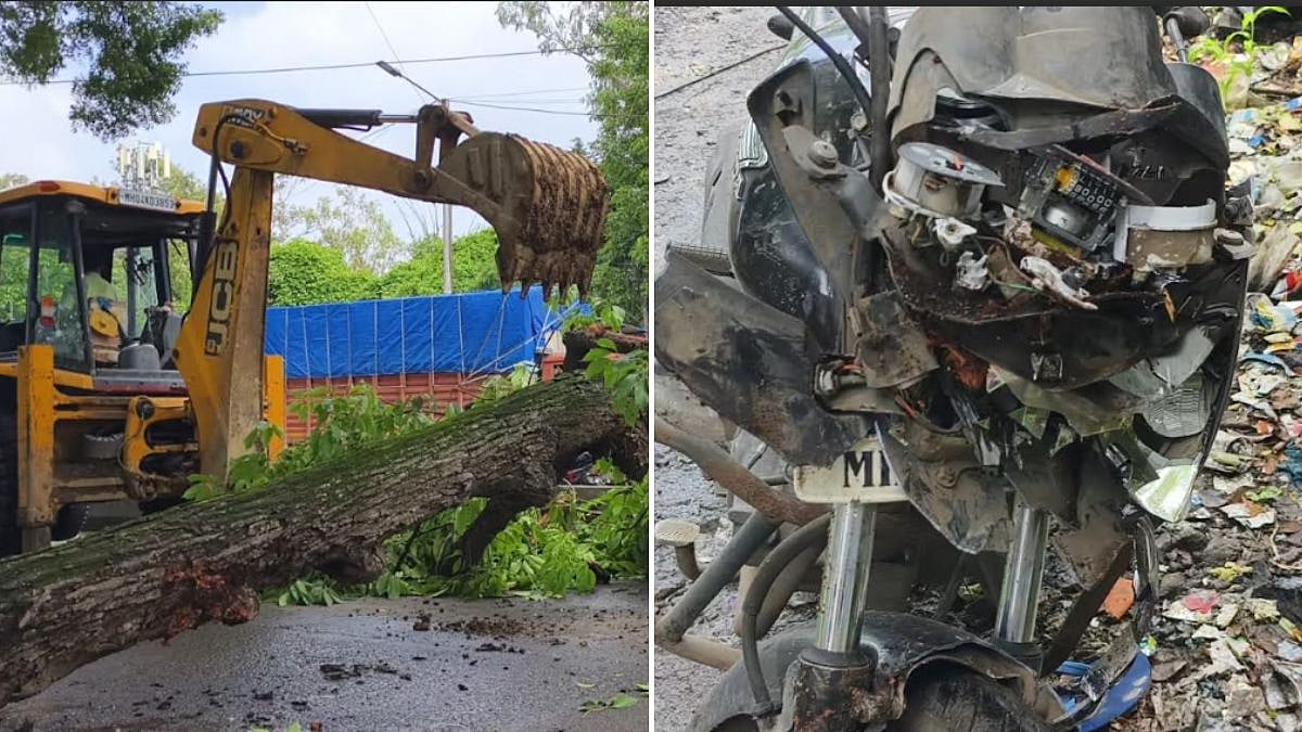 Bhiwandi Couple Escapes Injury as Tree Falls on Bike