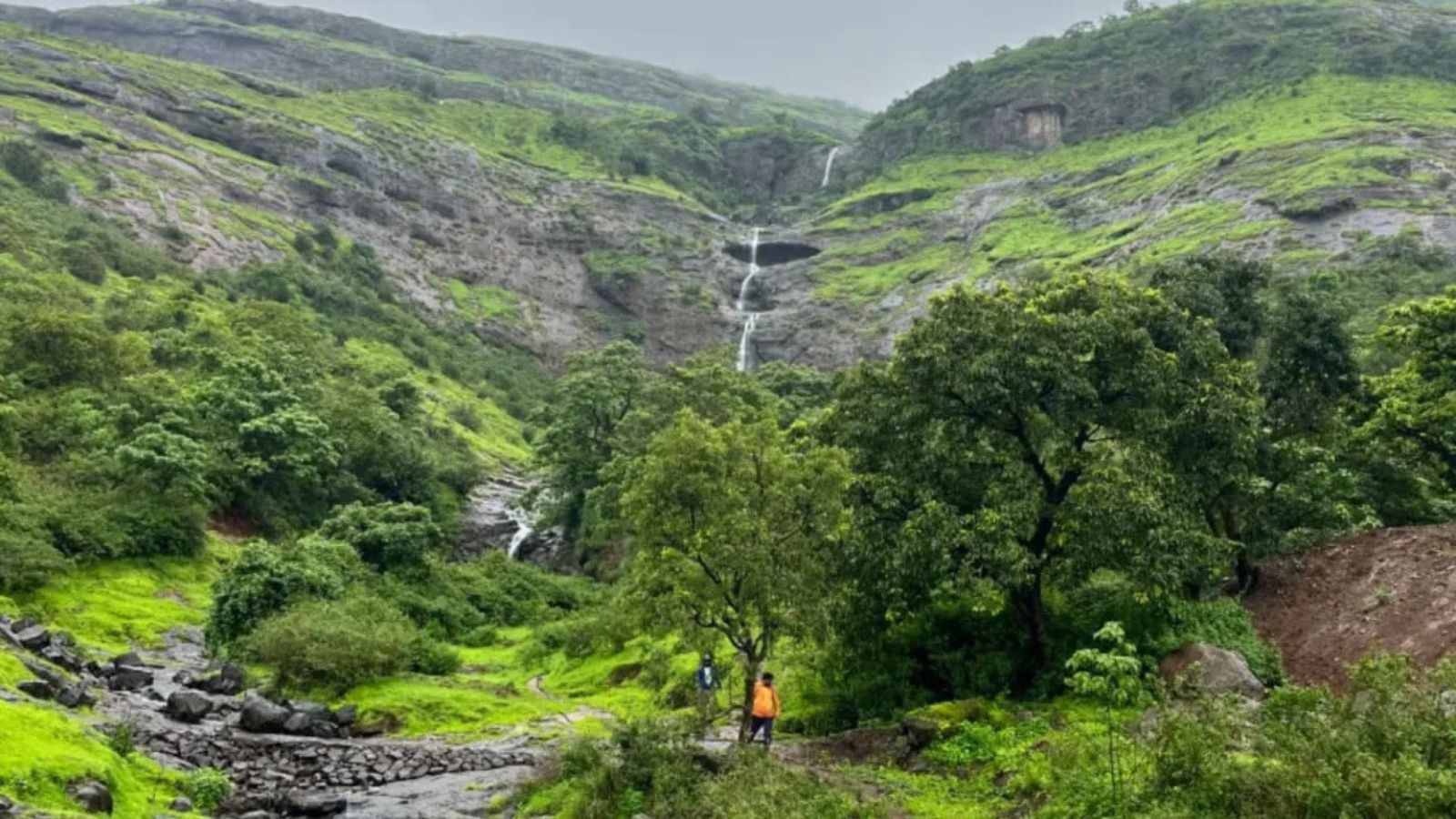Maharashtra Clears 83,700 sq ft Forest Land for Adani Projects