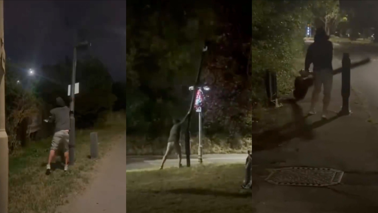 Americans Destroy 120,000 Flock Cameras