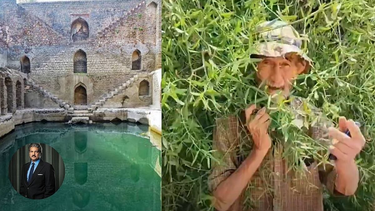 80-Year-Old Irishman Restores Jodhpur Stepwells