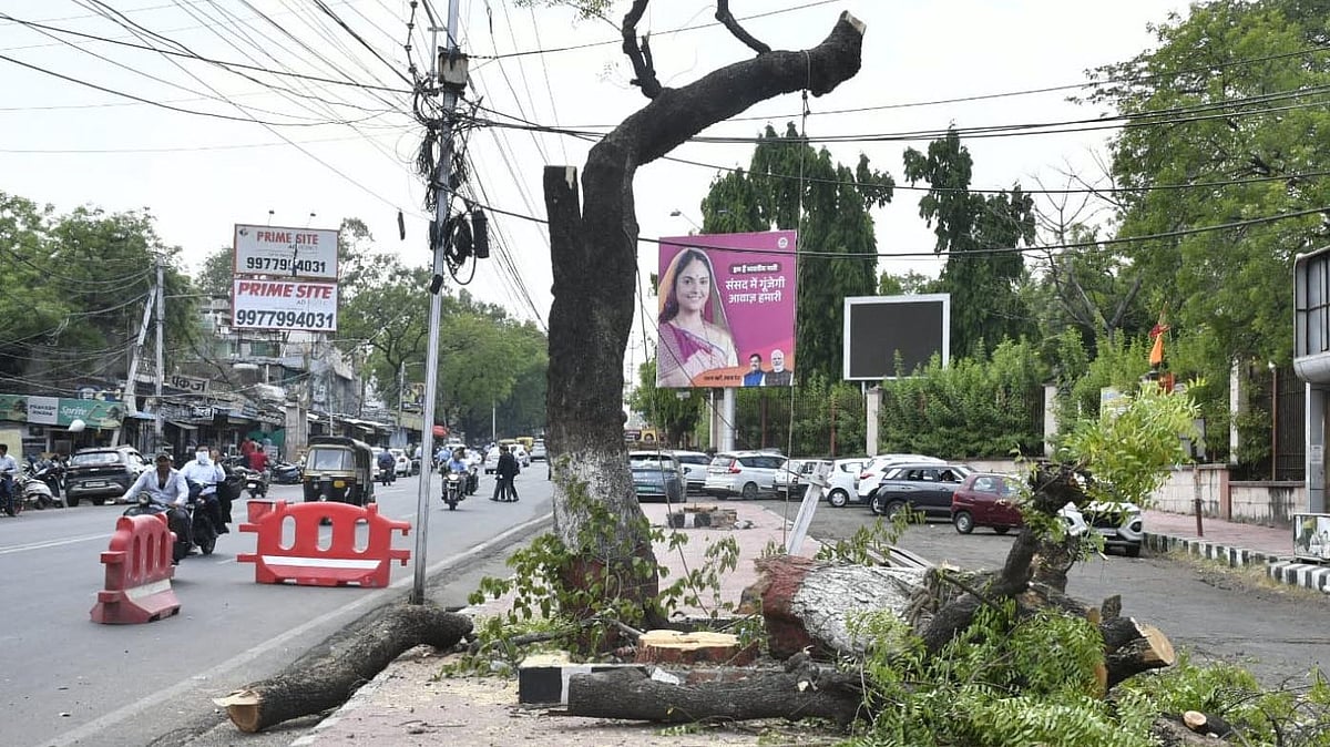 NGT Orders Removal Of Bhopal Encroachments Within 3 Months
