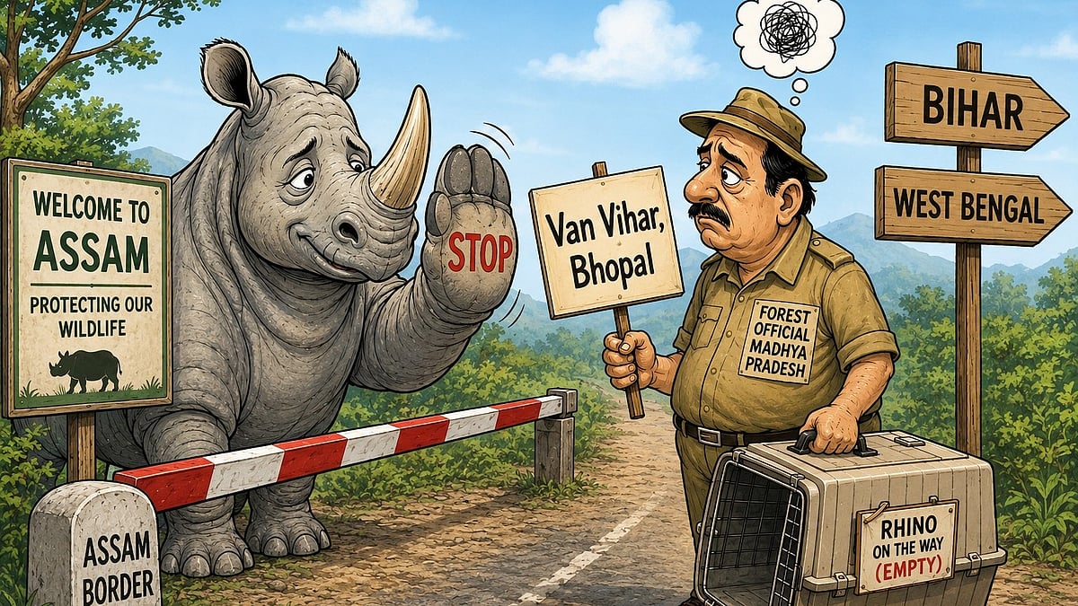 Assam Refuses to Transfer Rhinos to Madhya Pradesh