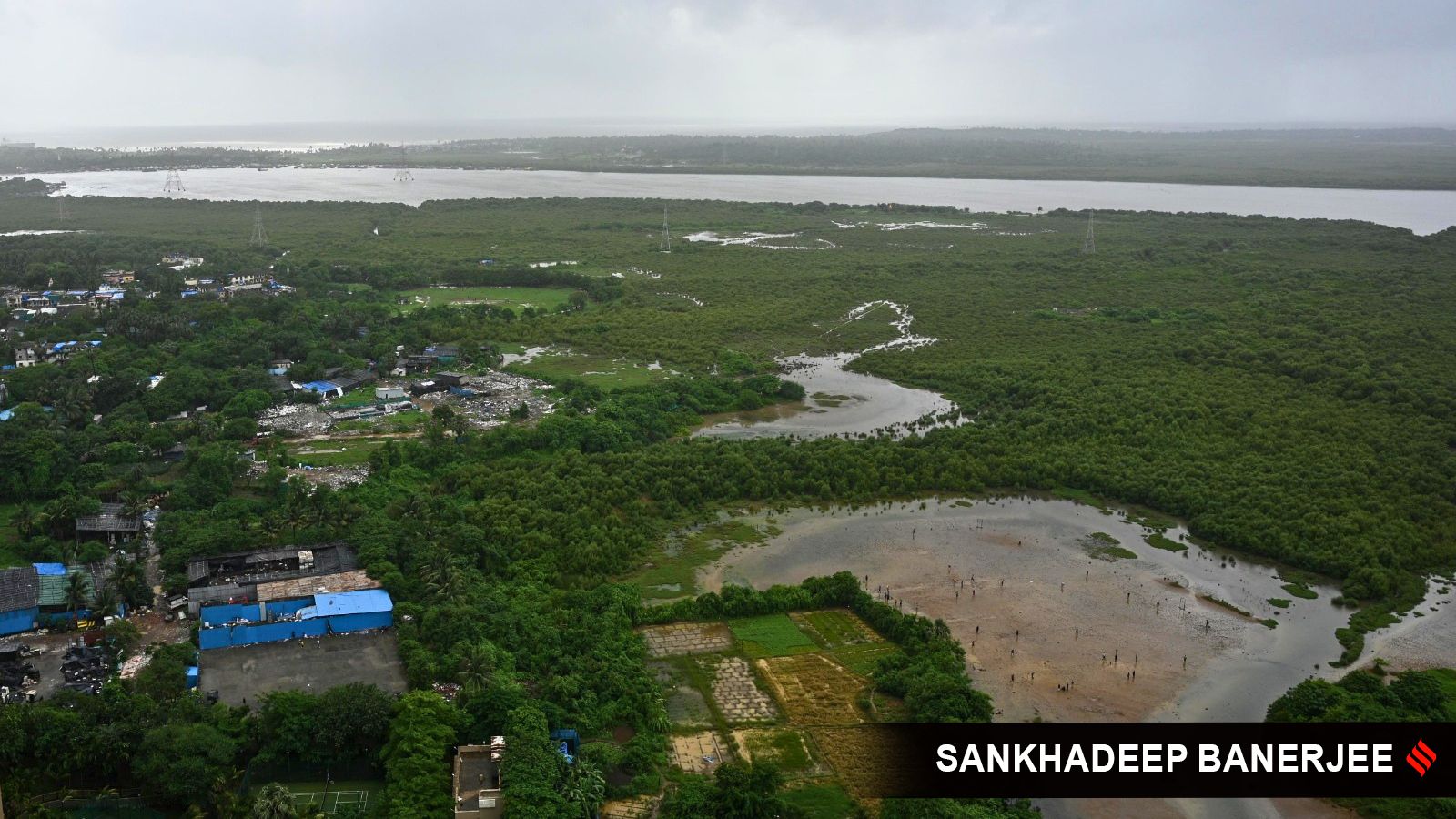 Bombay HC Allows Felling of 847 Mangroves for Bullet Train