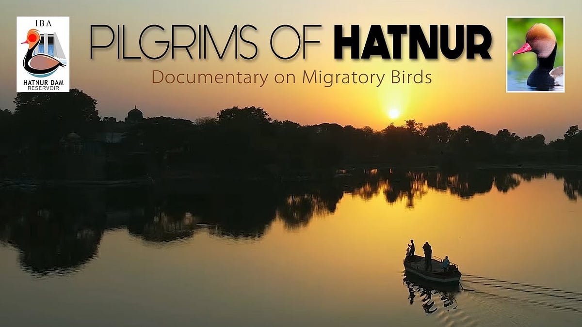 Pilgrims of Hatnur Selected for International Tourism Film Festival