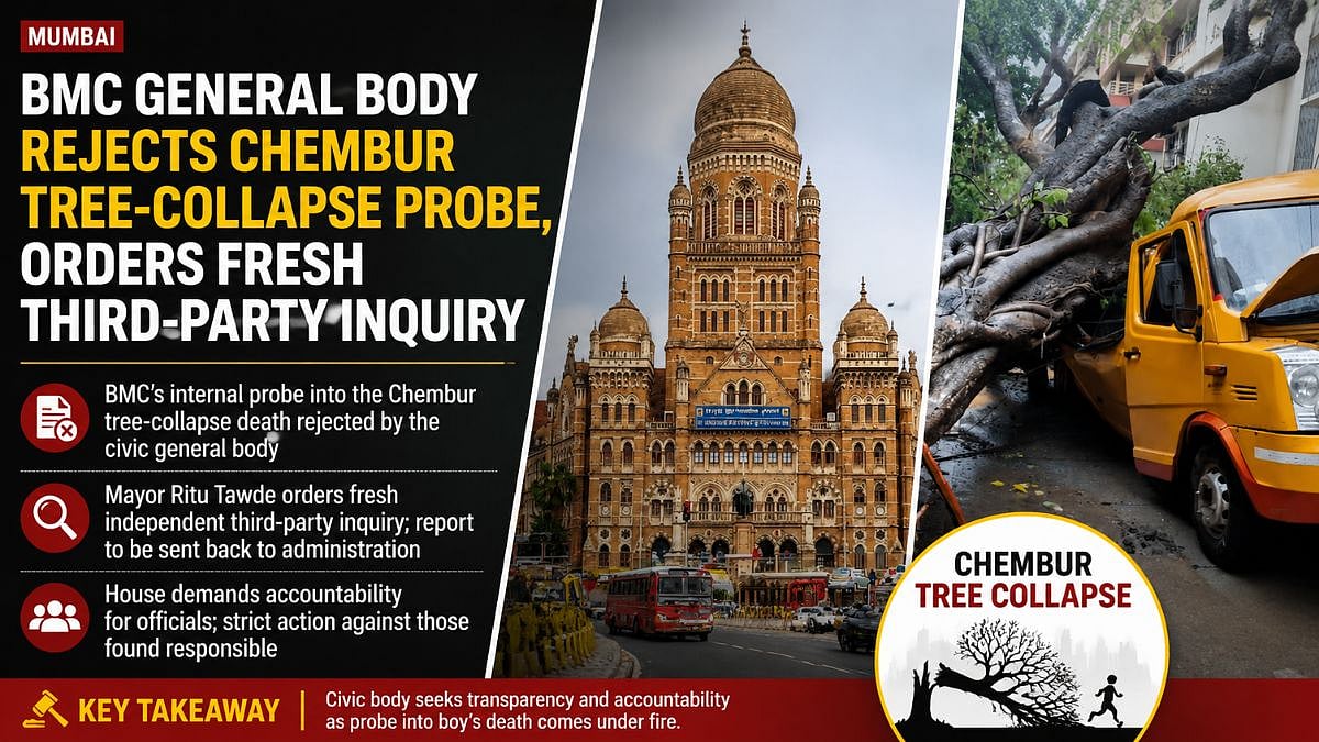 BMC Rejects Internal Probe Into Chembur Tree Collapse