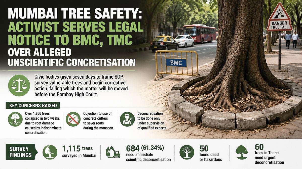 Activist Sues BMC, TMC Over Tree Concretisation