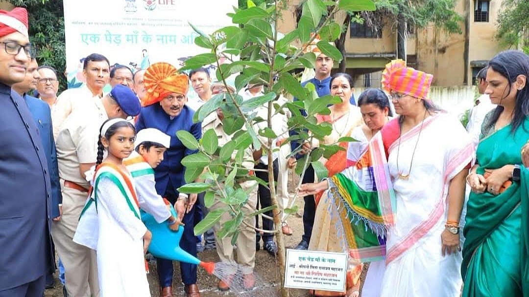 Nashik Plants 5.29 Lakh Saplings On Independence Day