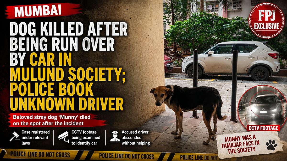 Munny the Dog Killed in Mulund Hit-and-Run