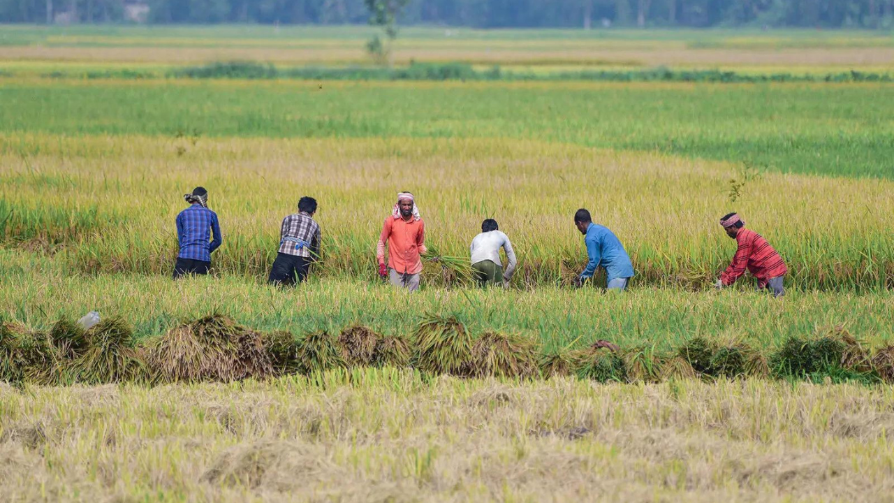 Weak Monsoon Threatens India's Economy